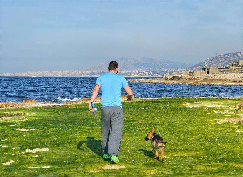 🌊🐶.... beach oceon dogs dog walking sky animal nature... (Enfeh)