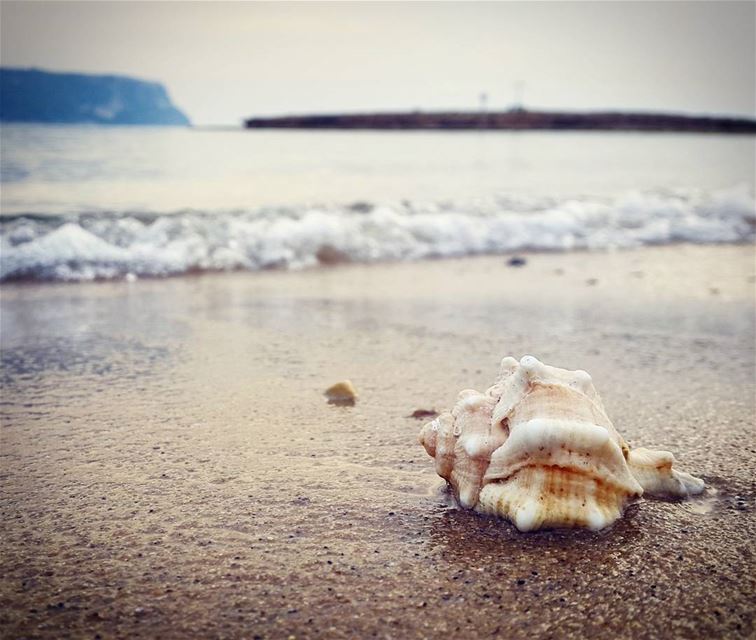  beach salty water summer vibes mountainfellas lebanonbyalocal ... (Chekka)