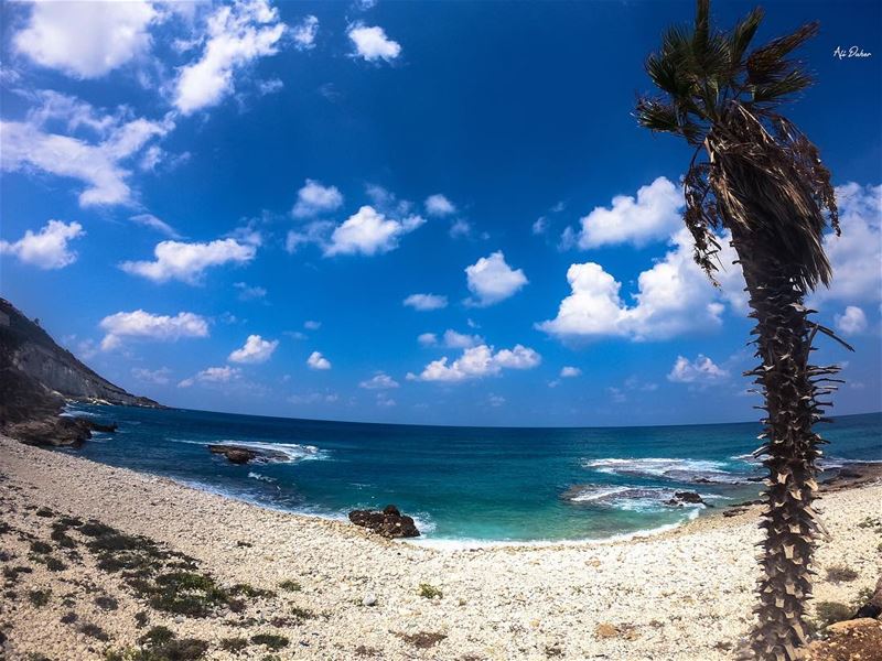 🌊🌴.... beach summertimefun sundayfunday nakoura clearwaterbeach... (Naqoura)