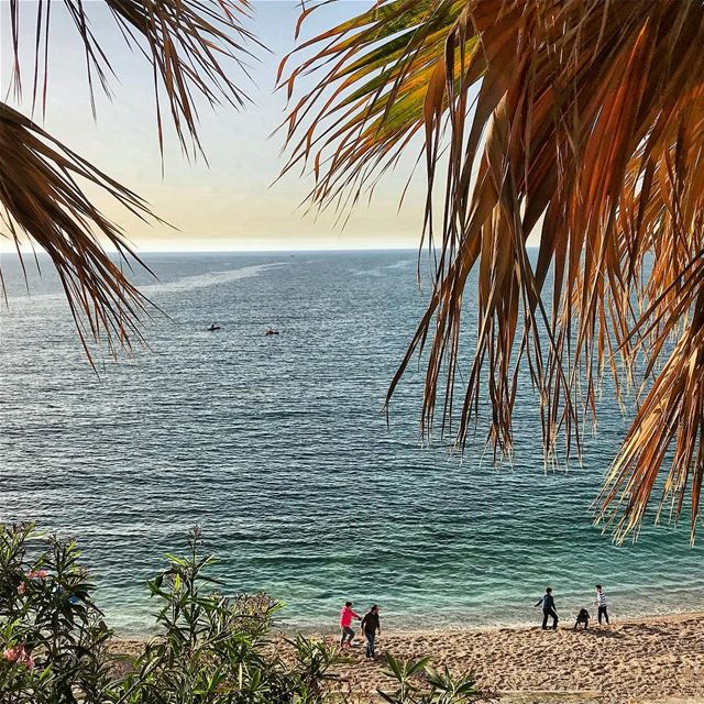  beach  sun  sand  trees  fun  sky  photooftheday  picoftheday  igdaily ... (Byblos, Lebanon)