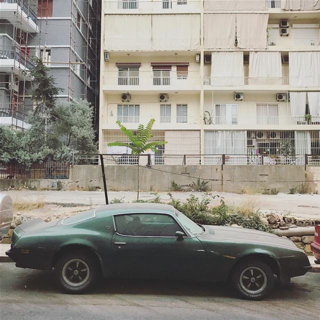 Beaters of Beirut (23) (Beirut, Lebanon)
