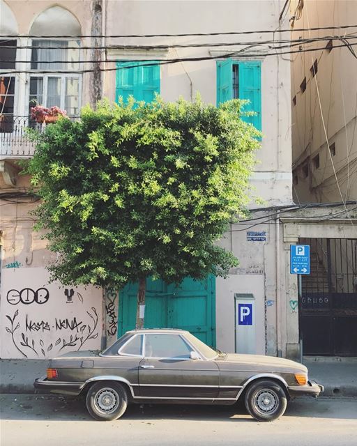 Beaters of Beirut (31) (Beirut, Lebanon)