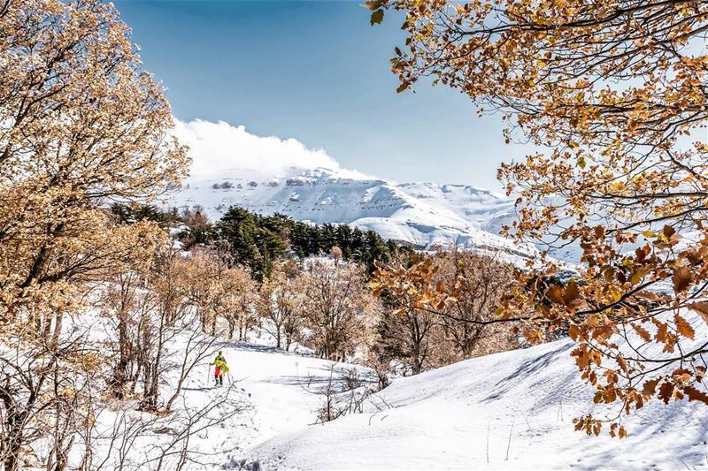 Beats your office view. Doesn't it?  travelbloggers  discoverearth ... (Arz Tannoûrîne)