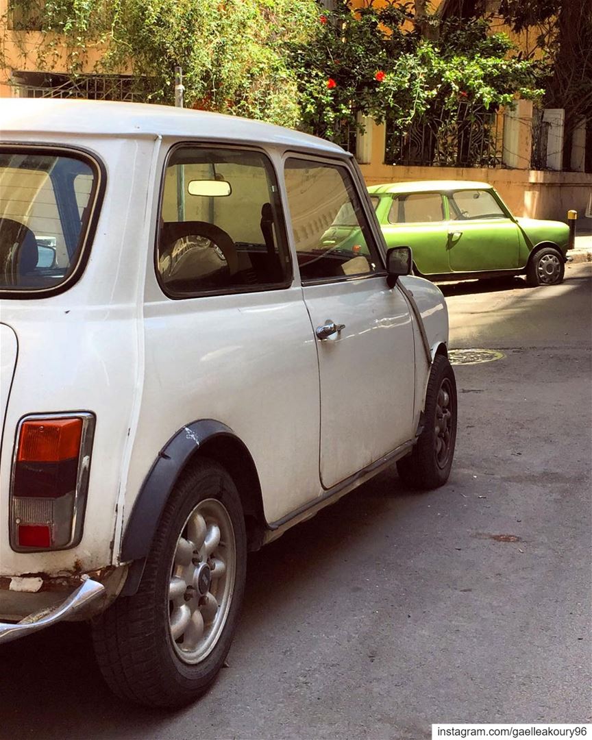 Beauties 💚  minicooper  mini  cars  classiccars  minicars  beirut ... (Achrafieh, Lebanon)