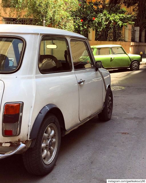 Beauties 💚  minicooper  mini  cars  classiccars  minicars  beirut ... (Achrafieh, Lebanon)