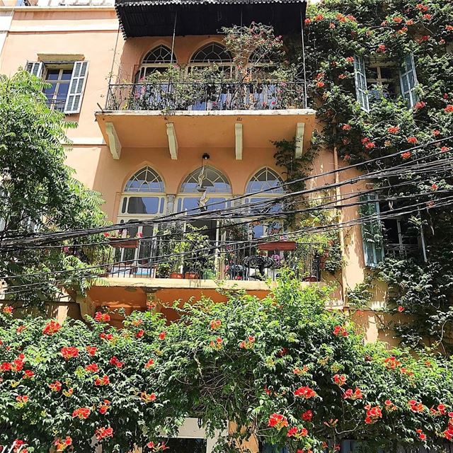 Beautiful Achrafieh 🌼🌸🌺 insta_lebanon whatsuplebanon lebanonspotlights... (Tabaris)