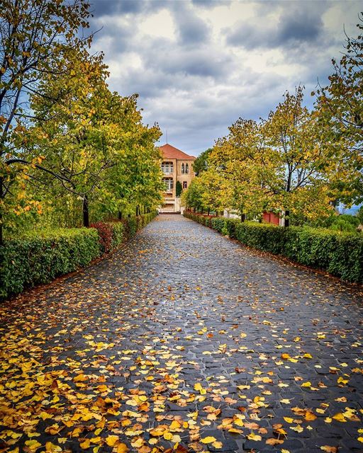 Beautiful autumn colors and dark stormy skies after the rain.. Sawfar,... (Sawfar, Mont-Liban, Lebanon)
