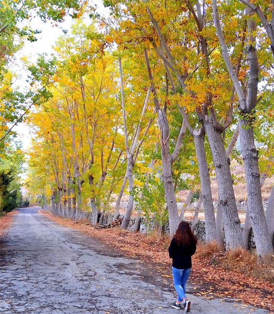 Beautiful Autumn 🍁🍂 lebanon  nature  naturelovers  natureporn ... (El Laqloûq, Mont-Liban, Lebanon)
