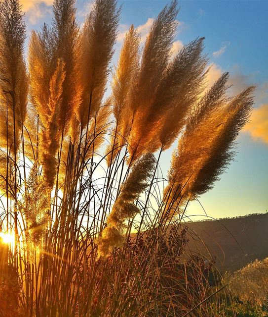 Beautiful background ❤ lebanon  nature  naturelovers  natureporn ... (Bmariam, Mont-Liban, Lebanon)