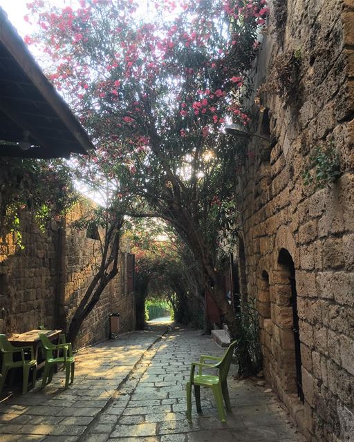 Beautiful  byblos  livelovelebanon  livelovebyblos  jbeil ❤️💚🖤 (Byblos - Jbeil)