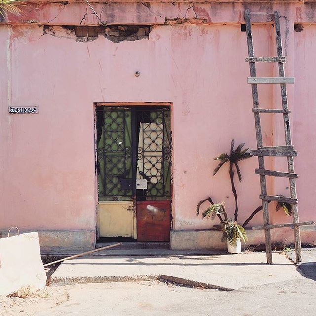 Beautiful chaos [Photo by @georges__chamoun] (Mansourieh)