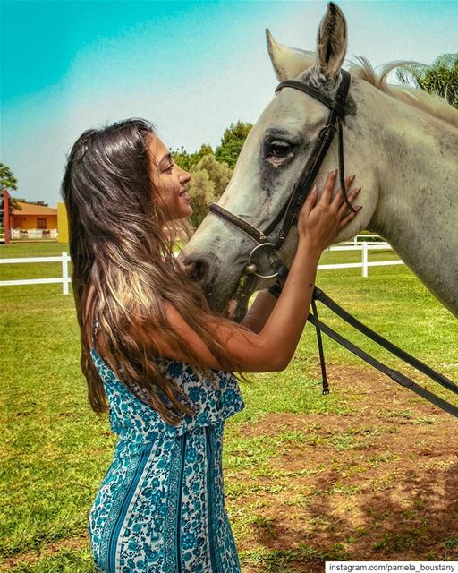 Beautiful creature of mother nature 🐎💚... (Sour Tyre Lebanon.)