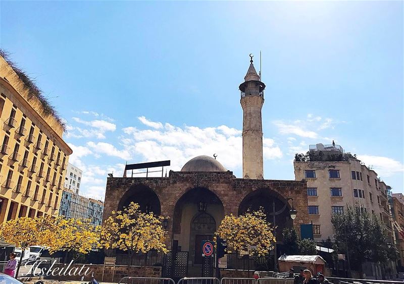 Beautiful day ❤spring is coming 🌼💐_Lebanon insta_Lebanon livelovelebanon... (Beirut, Lebanon)