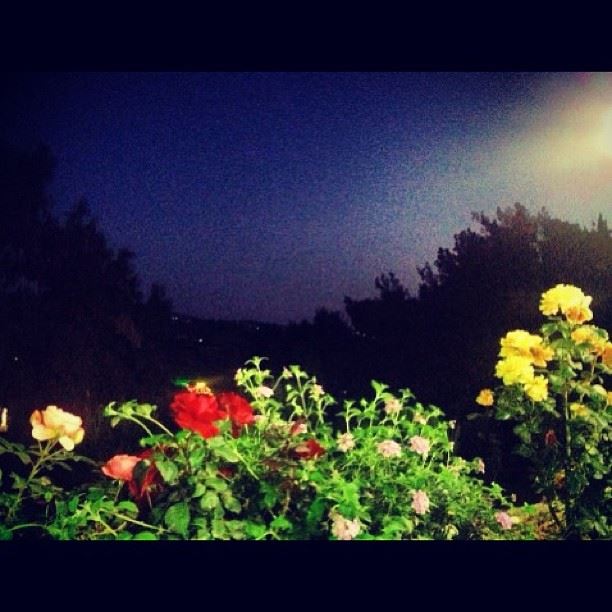 Beautiful evening..