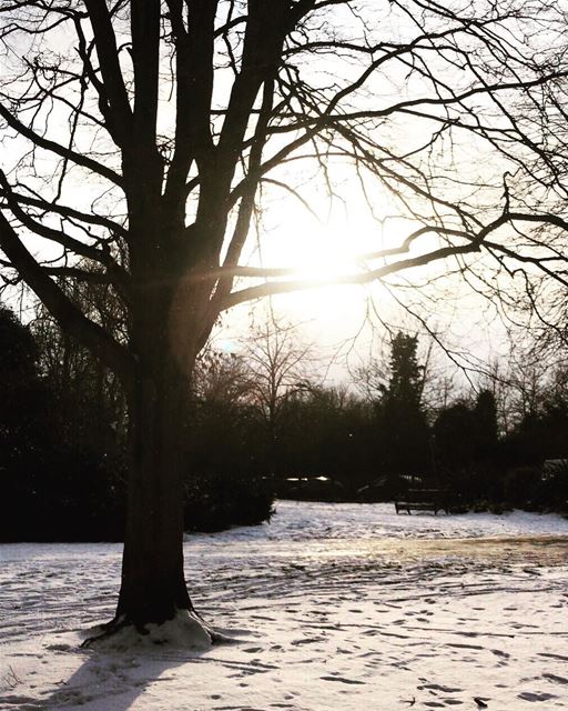 Beautiful Frozen Nature ❄️, and snow that look like Art  art artist...