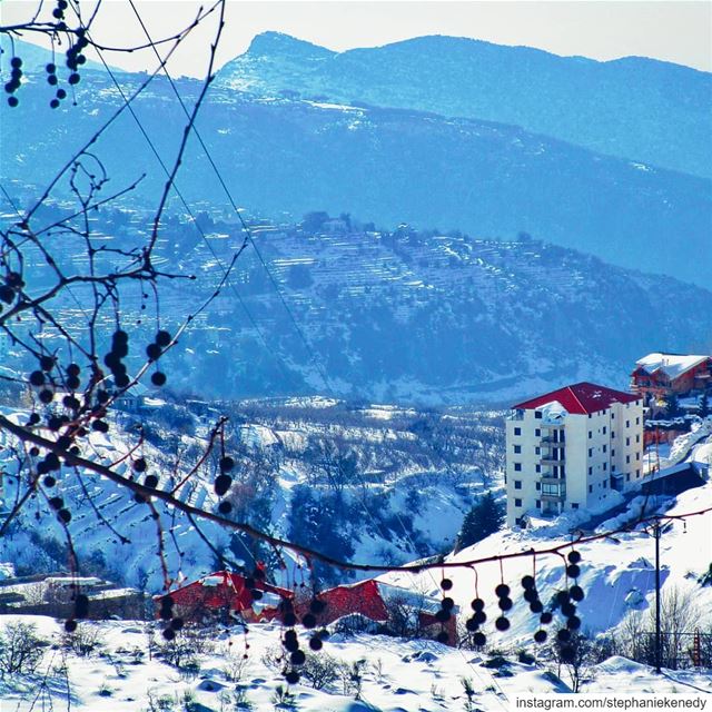 Beautiful in white ❄ snowangel  wintertime  landscape  lebanoninstagram ...