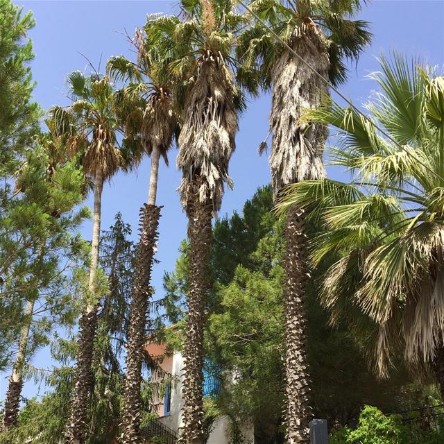  beautiful  instalike  ig_captures  ig_photooftheday  wanderlust  bluesky ... (Aïn Ksoûr, Mont-Liban, Lebanon)