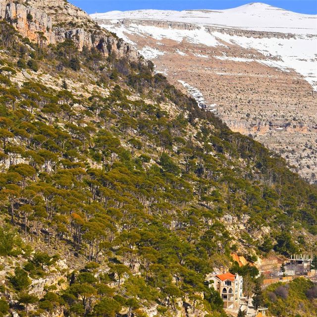 Beautiful landscape from  Ehden 😍 | Like my photography Facebook page ╰▶... (Ehden, Lebanon)