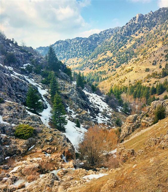 Beautiful Laqlouq 😍 lebanon  nature  naturelovers  natureporn  landscape... (El Laqloûq, Mont-Liban, Lebanon)