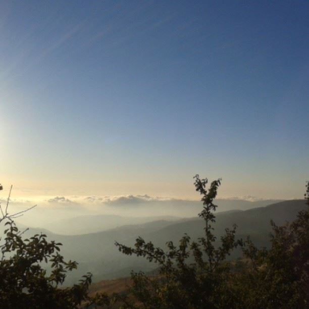  beautiful Lebanon falougha...