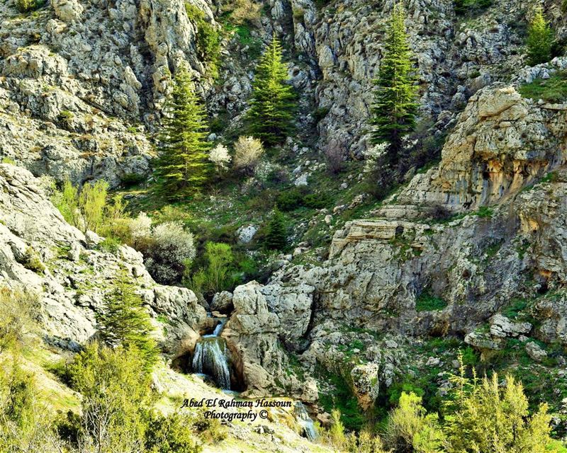 Beautiful LEBANON 😍 LiveLoveLaqlouq  LiveLoveTrees   LiveLoveNature ... (El Laqloûq, Mont-Liban, Lebanon)