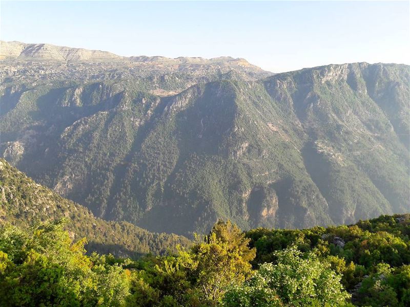 Beautiful  Lebanon  Qartaba  LiveLoveNature  Lebanon  Liban ... (Qartaba)