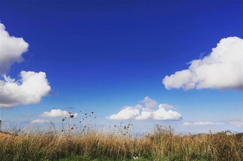 Beautiful mornings has beautiful skies 💙  landscapephotography  lebanon ...