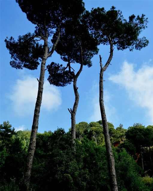 Beautiful nature  lebanon bikfaya naas nature bleusky amaizingweather ... (Naas - Bekfaya)