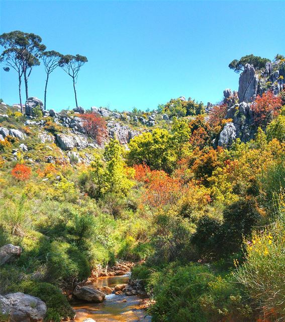 Beautiful nature 😍 lebanon  nature  naturelovers  natureporn  landscape ... (Bmariam, Mont-Liban, Lebanon)