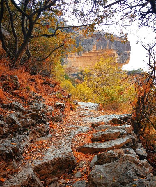 Beautiful nature 🍁 lebanon  nature  naturelovers  natureporn  landscape ... (Akoura, Mont-Liban, Lebanon)
