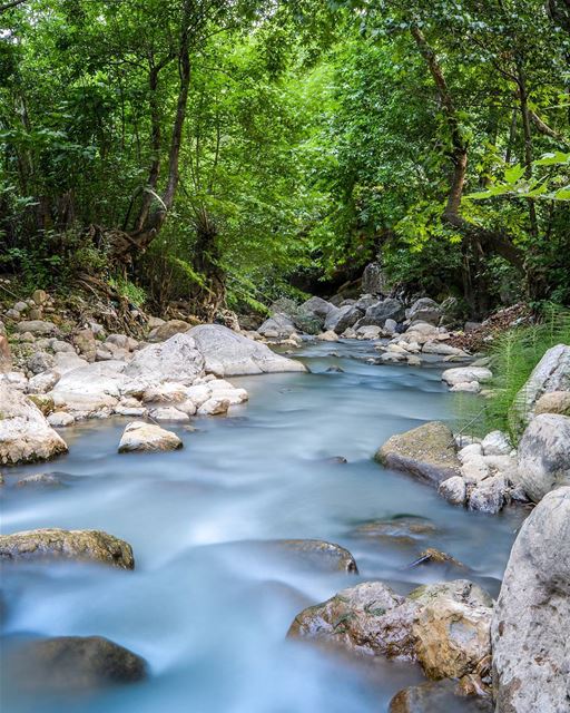 .Beautiful nature of Lebanon | The valley of Kannubin 13-5-2017 | 20 sec... (Wadi qannoubine)