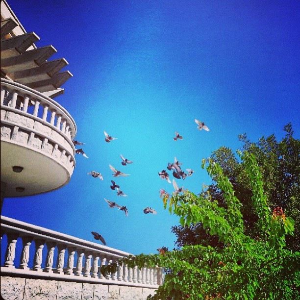 Beautiful photo taken by @fattumah