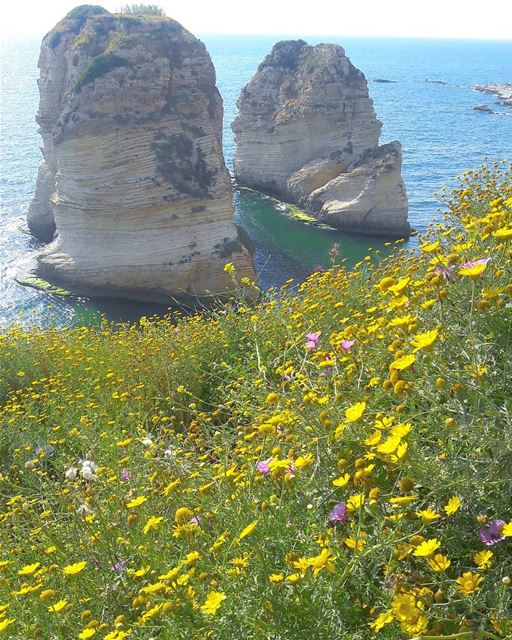  Beautiful Raouché Beyrouth  Keepcalm  Mediterranean  Sea  Amazing ... (الروشة شاطىء بيروت)