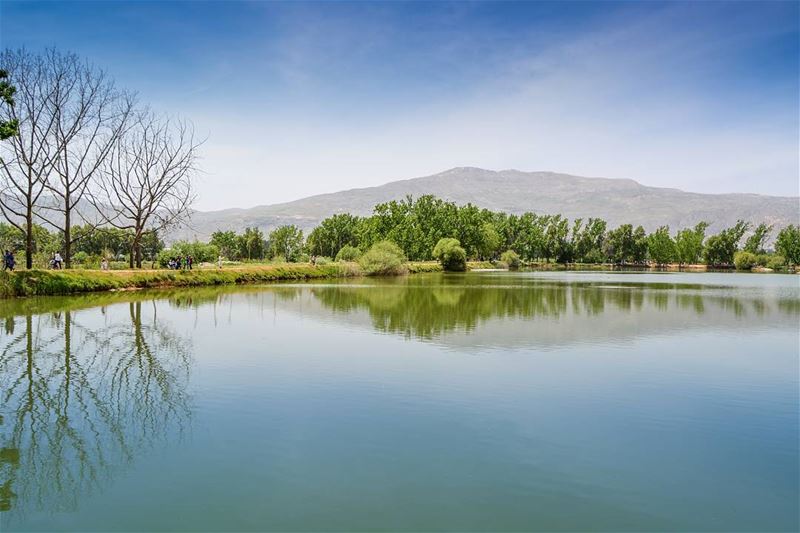 Beautiful reflections | Taanayel Lake, Bekaa Lebanon. Good afternoon dear... (Taanayel Lake)