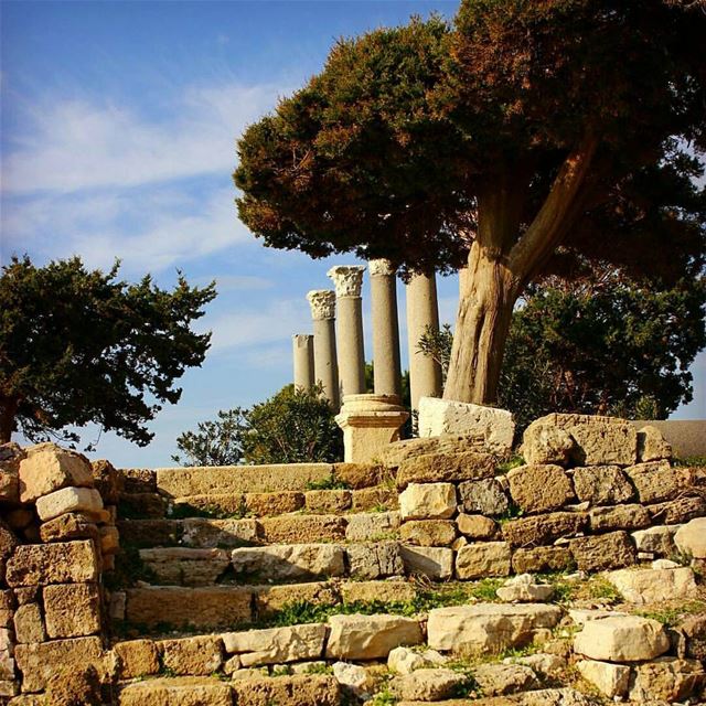 Beautiful shot from Byblos Castle by @caroline_is_dreaming byblos jbeil...