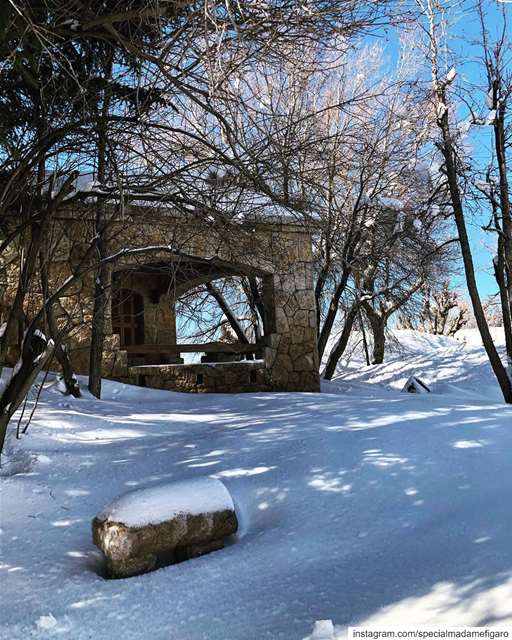 Beautiful snowy Lebanon 🇱🇧 ❄️  lebanon  snow  faqra ... (Faqra Club)