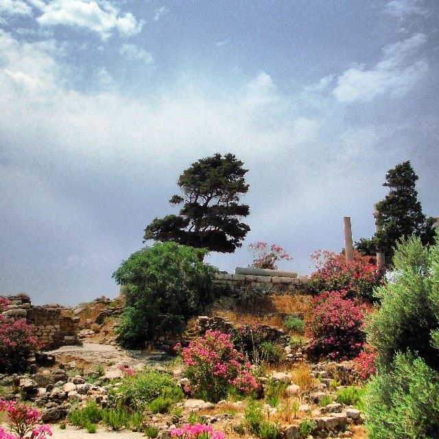 Beautiful spring colours. Byblos , LebanonShot taken and edited by me. (...