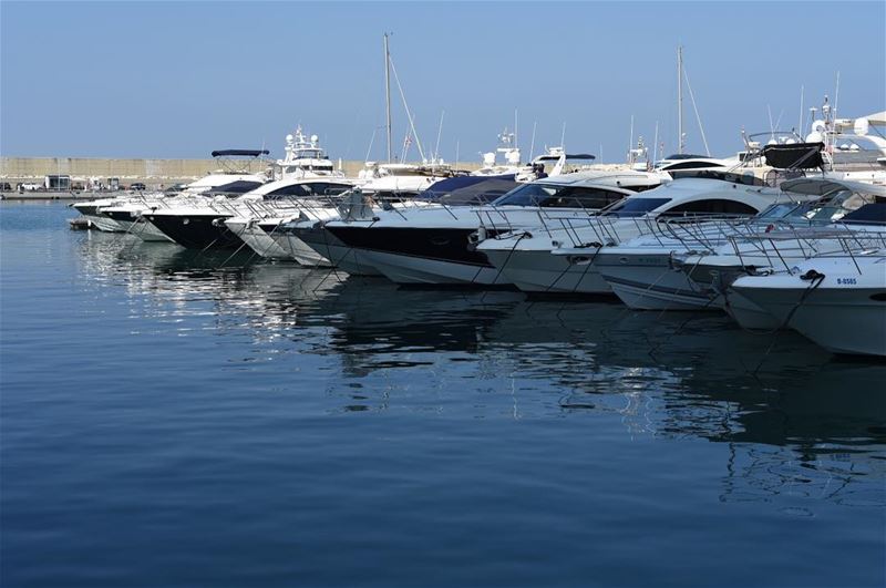 Beautiful Sunday boats yachts (Zaituna Bay and Yacht Club)