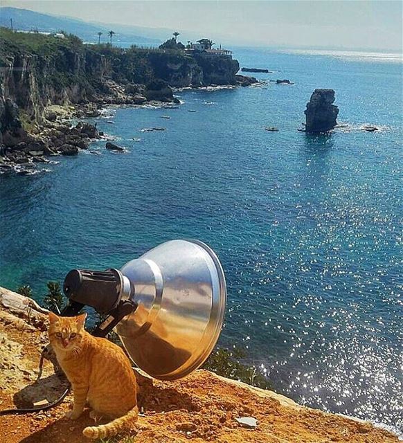 Beautiful sunny day😊everyone is enjoying_Lebanon insta_Lebanon... (Mhanna Sur Mer)