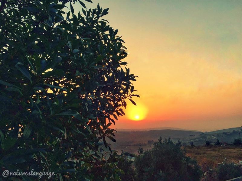 Beautiful sunset at  jarjouaa  lebanon  mylebanon  lebanon_hdr ... (Jarjou`, Al Janub, Lebanon)