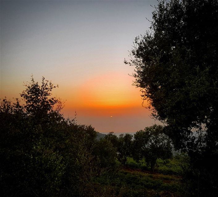 Beautiful Sunset  beautiful  nature  sunset  today  lebanon  landscape ... (Aley, Mont Lebanon)