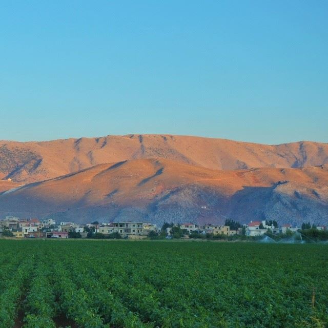 Beautiful sunset. Bekaa. Shot taken by me. (  proudlylebanese  green ...