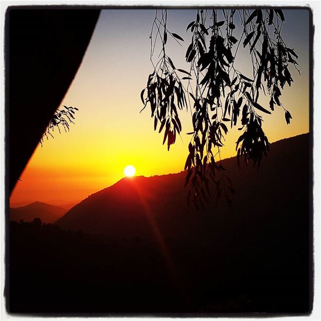 Beautiful sunset in qattine next to qaitoule. Standing in the middle of... (Qaïtoûlé, Al Janub, Lebanon)