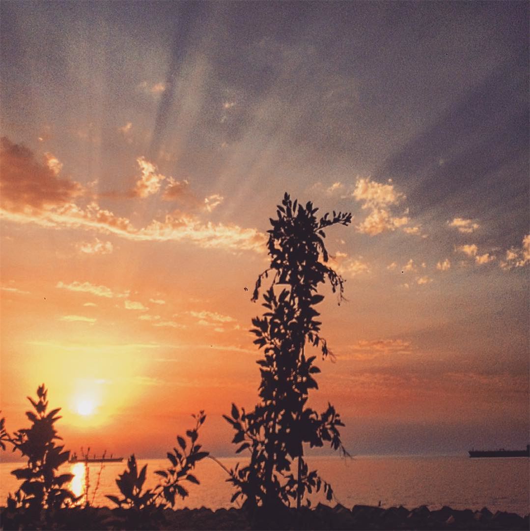 “ Beautiful sunsets need cloudy skies.” 🌅💛🧡💙 photography ...