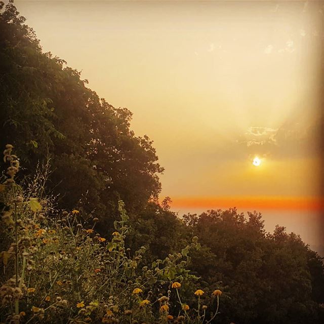 Beautiful sunsets need cloudy skies🌅 sunset sunset_ig sunset_vision...