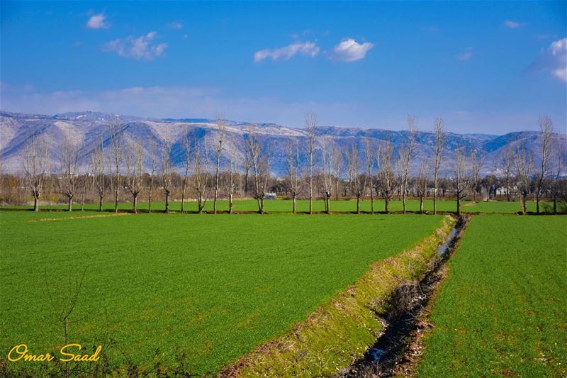 Beautiful view from taanayel  taanayel  beqaavalley  beautiful ...