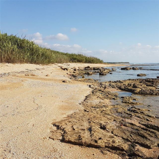 Beautiful walk on the beach next to the banana fields in adloun. tourleb ... (Adloun, Al Janub, Lebanon)