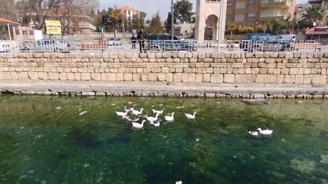 Beautiful weather with some beautiful views. Full video is available on my... (Ras El Ein Park - Baalbeck City)