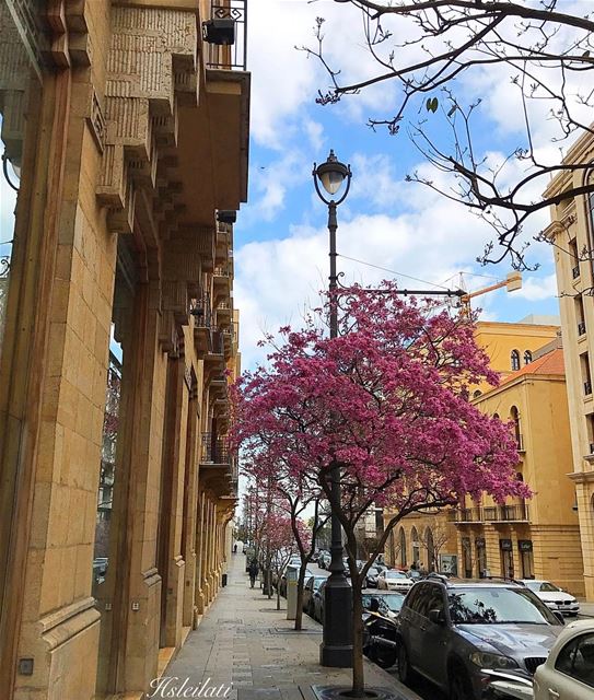Beautiful week ahead 💞 lebanonweekly  lebanontimes  insta_lebanon ... (Downtown Beirut)