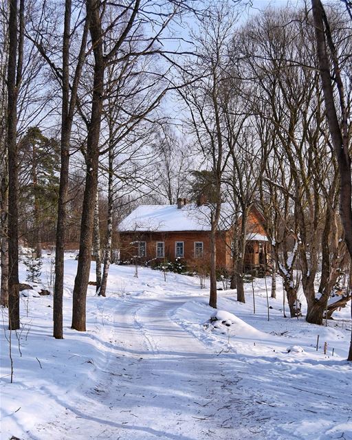 Beautiful winter nature | Vyborg park " Mon Repos" e.s.t 1882  russia.... (Mon Repos)